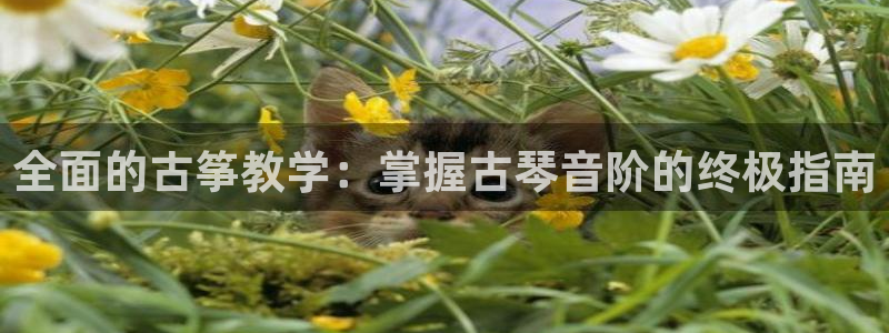 凯发K8旗舰厅