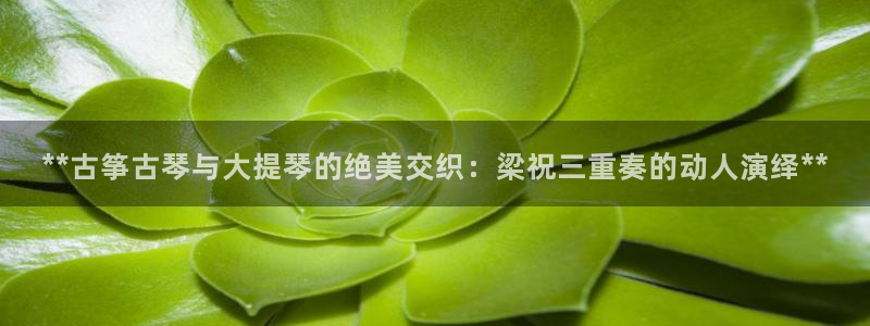 凯发旗舰厅