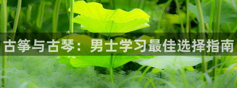 凯发娱乐国际厅