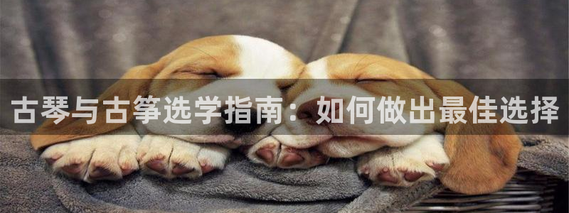 凯发k8是不是真的可靠