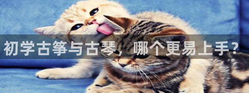 凯发k873