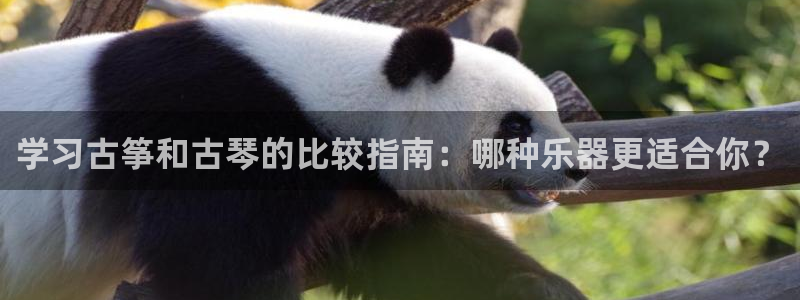 凯发k8手机是正品吗