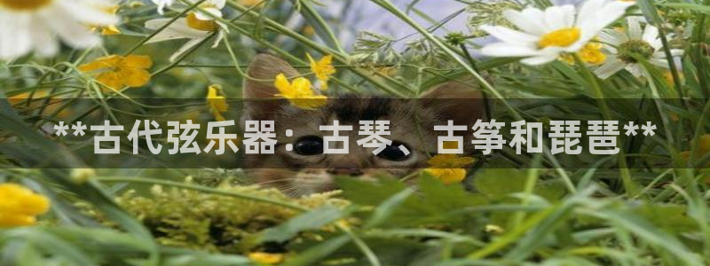 凯发k8app下载