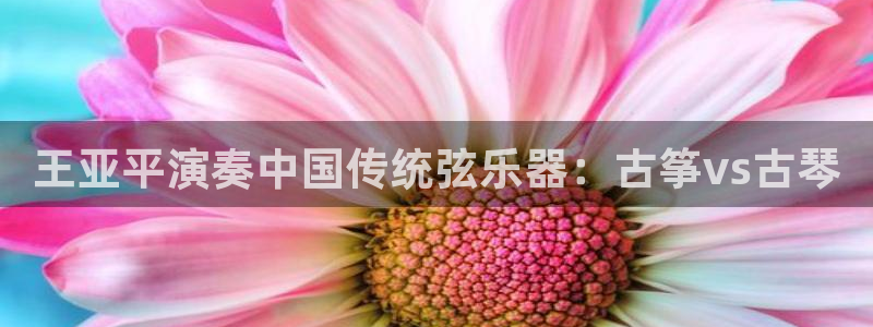 凯发手机官网客户端