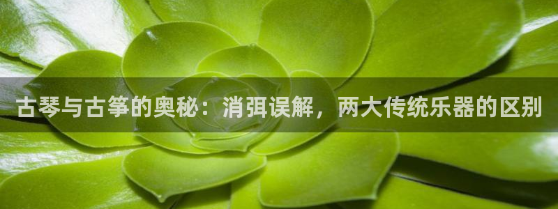 凯发网官网