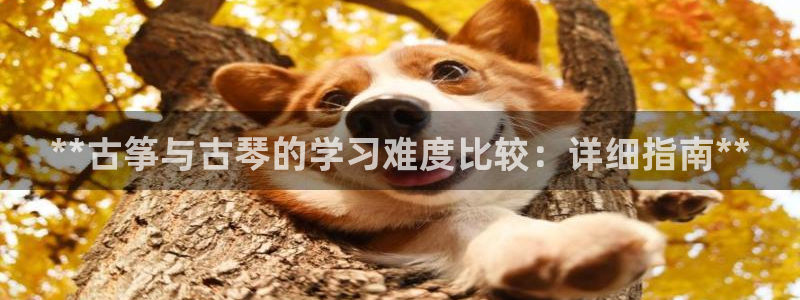 凯发k8客户端