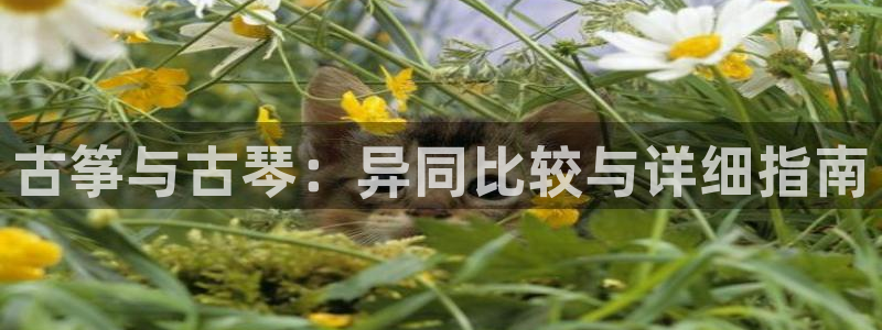凯发k8官方旗舰店app