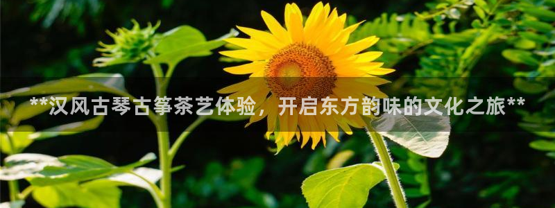 凯发平台医7O777