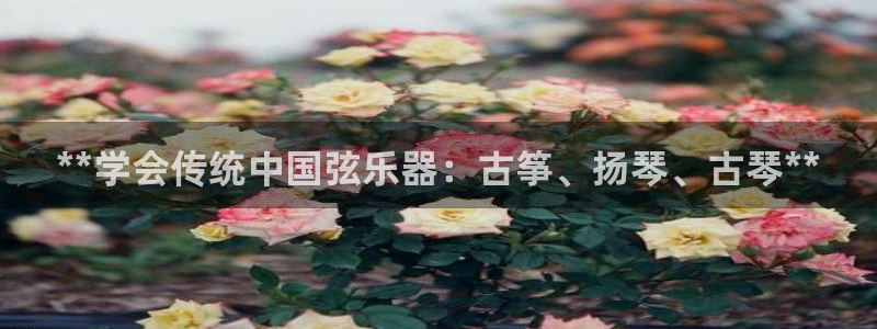 凯发k8娱乐是哪个国家的
