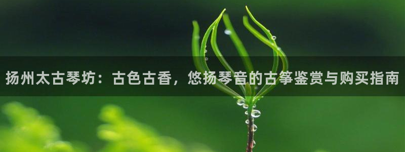 凯发k8娱乐手机版官网