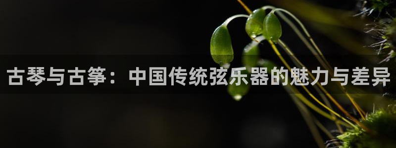 凯发登录网址