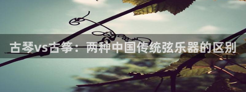 凯发是正规平台吗