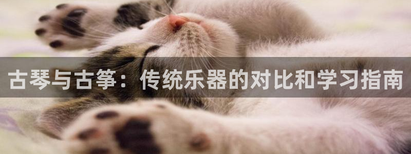 凯发平台网址