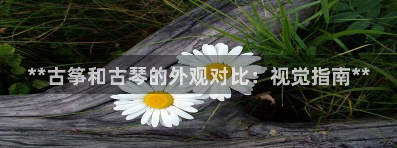 凯发k8国际首页登录