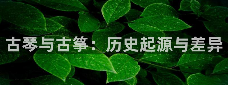凯发k8官方网娱乐官方真