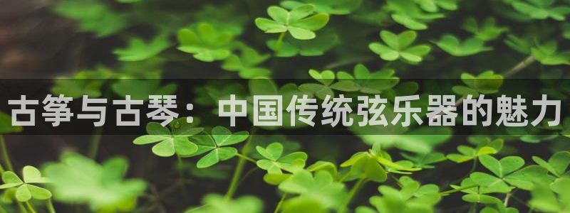 凯发登录网址