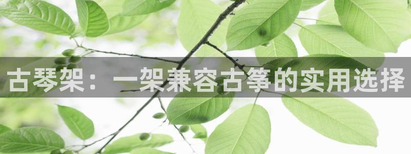 凯发国际平台官网