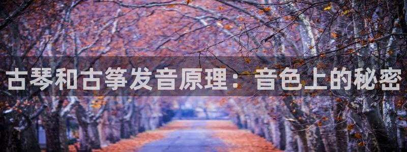 凯发网址登录
