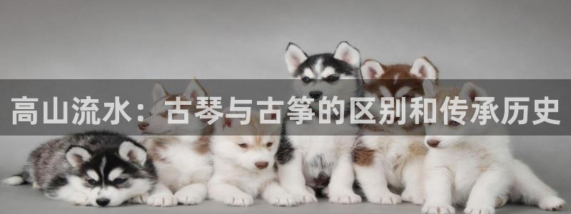 凯发国际网络平台网址