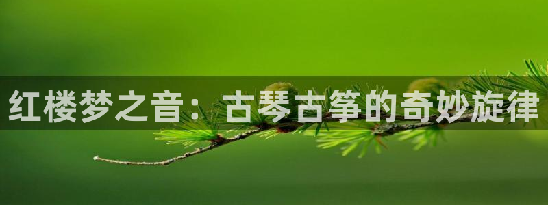 凯发国际网站官网