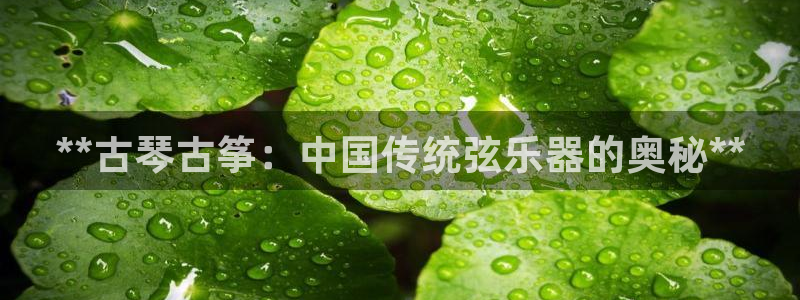 凯发k8国际注册