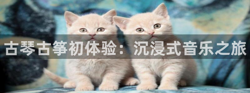 凯发在线官网登录下载