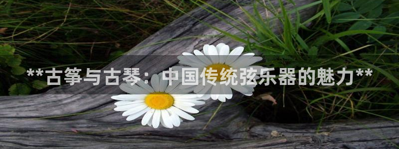 凯发平台k8