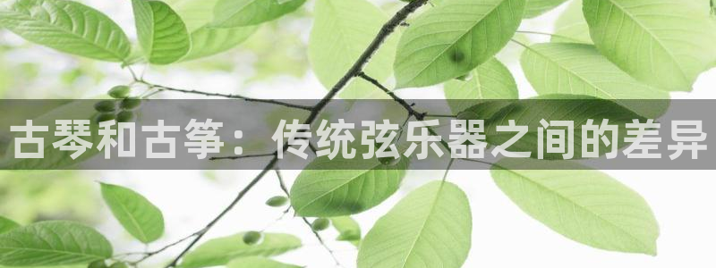 凯发国际网址官网查询