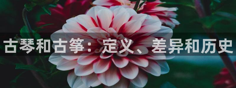 凯发手机app官网