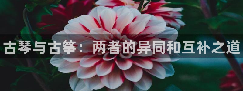 凯发娱乐官方网站