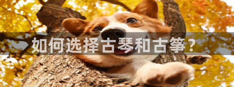 凯发app官网