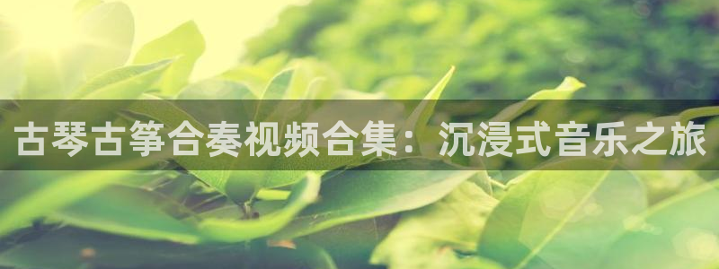 凯发手机官网客户端