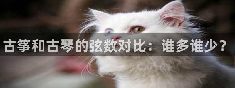 凯发国际是什么