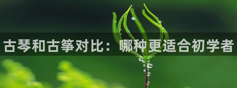 凯发k8娱乐网址多少