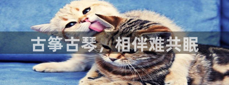 凯发平台医7O777