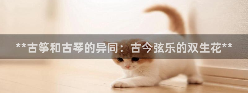 凯发k8娱乐平台