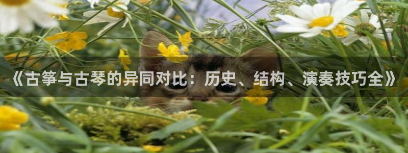 凯发平台轻7O777