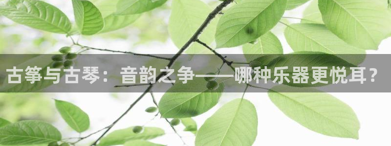 凯发k8app下载