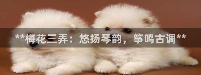 凯发k8国际下载