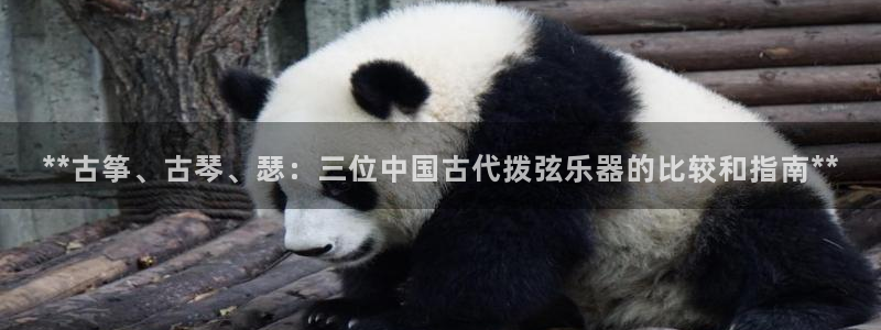 凯发娱乐官方网站