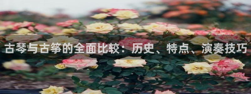 凯发在线平台官方网站