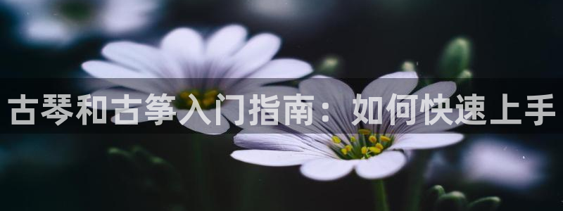 凯发k8娱乐平台下载