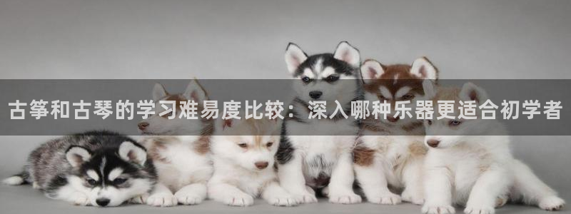 凯发娱乐k8国际