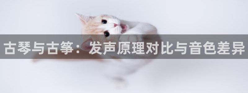 凯发国际网络平台网址
