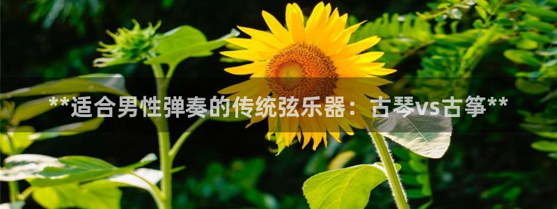 凯发k8国际app