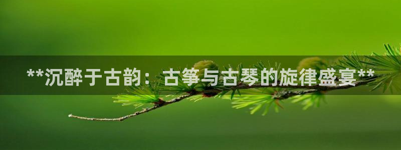 凯发网站是多少