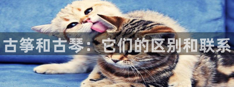 凯发手机官网客户端