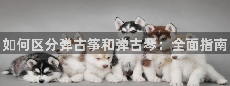凯发网址多少