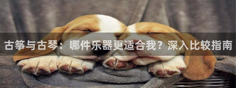 凯发k8是不是真的可靠