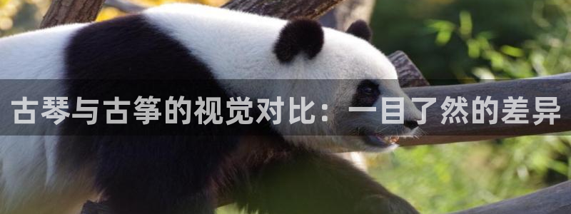 凯发k8娱乐|k808.vip
